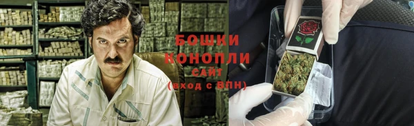 PSILOCYBIN Заводоуковск