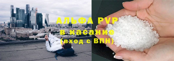 PSILOCYBIN Заводоуковск