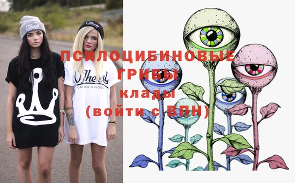 PSILOCYBIN Заводоуковск