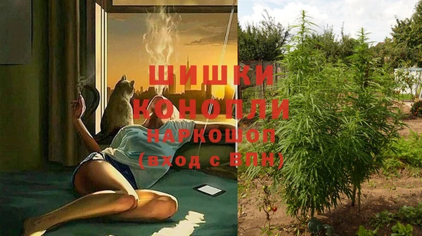 PSILOCYBIN Заводоуковск