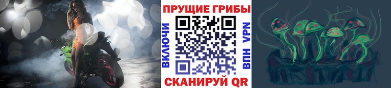 Галлюциногенные грибы Cubensis  мега   Зеленокумск 