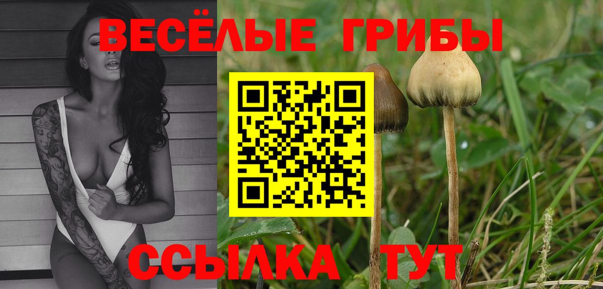 Зеленокумск  Галлюциногенные грибы мухоморы  Вход с VPN 